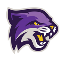 Bethel University - Football